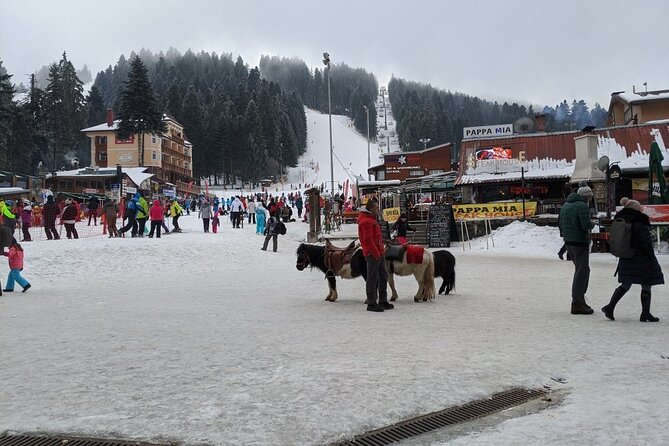 5-Day Ski Equipment Rental in Borovets - The drying and disinfection system, why it matters on day 4