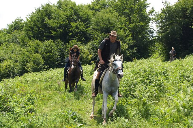 Balkan Horse Riding - Glozhene Monastery Ride - Who should book this Glozhen horse ride