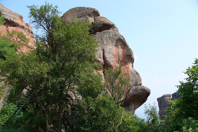 Belogradchik Full-day Tour from Sofia - Price and value check for $82.82