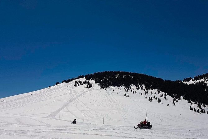 Borovets Ultimate Snowmobile Experience - Timing and Booking: How to Pick the Right Slot