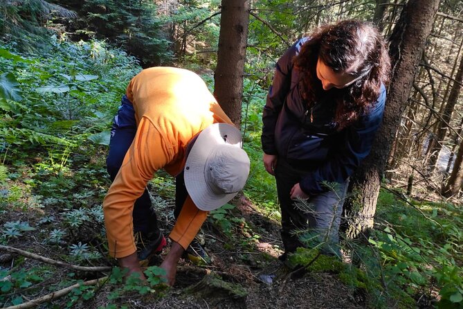 Culinary Adventure To The Fungi And Botanical Kingdom Of Bulgaria - Lozen Mountain mushroom magic: what this tour really feels like