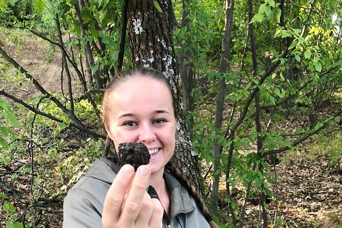 Culinary Adventure To The Fungi And Botanical Kingdom Of Bulgaria - How to decide if this Sofia fungi tour is for you