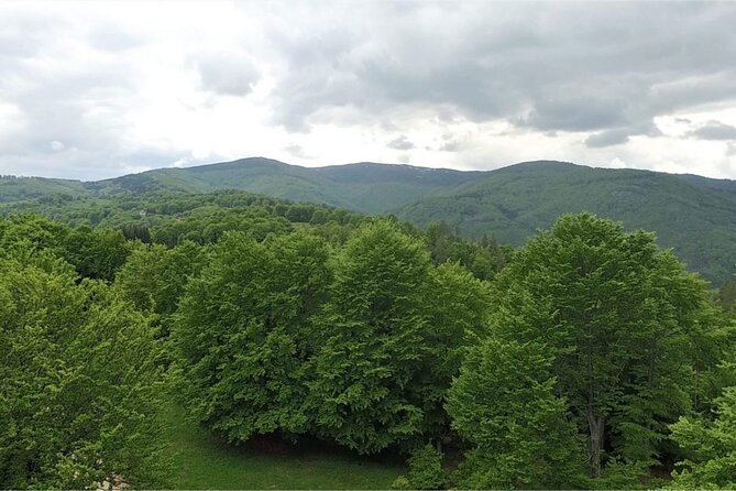From Sofia: Serbia and Macedonia Trip - Pickup, Group Size, and Mobile Convenience