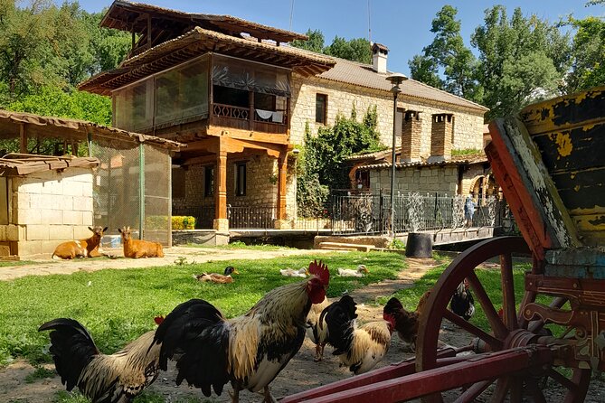 Full-Day Small-Group Tour of Bulgaria by Minivan with Lunch - Varna central market pass-by: a quick orientation moment