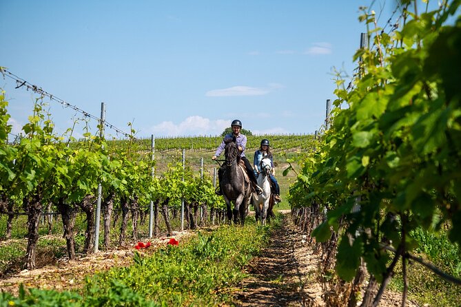Half-Day of Horseback Adventure with Wine Tasting - Key highlights before you go