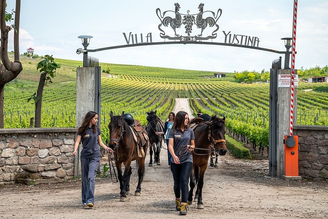 Half-Day of Horseback Adventure with Wine Tasting - Start at Yustina Vineyard Park, with Plovdiv transfers handled