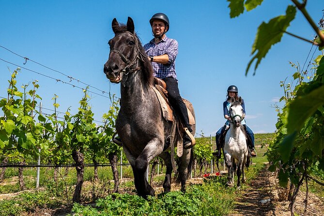 Half-Day of Horseback Adventure with Wine Tasting - Red Church stop: why this architecture visit is worth the saddle time