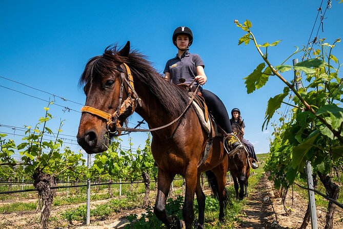 Half-Day of Horseback Adventure with Wine Tasting - Wine tasting at Yustina: a calm finish after the ride (18+)