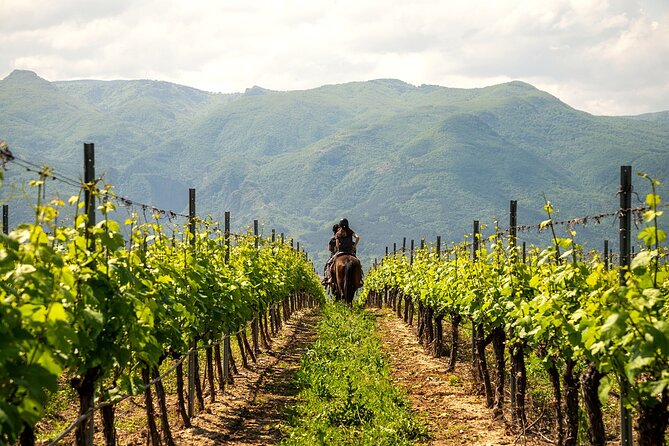 Half-Day of Horseback Adventure with Wine Tasting - Transfers, small group size, and why it matters for comfort
