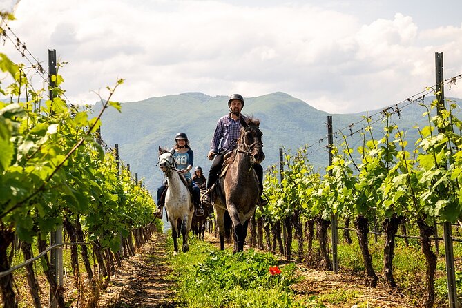 Half-Day of Horseback Adventure with Wine Tasting - Price and value: is $179.01 per person fair?