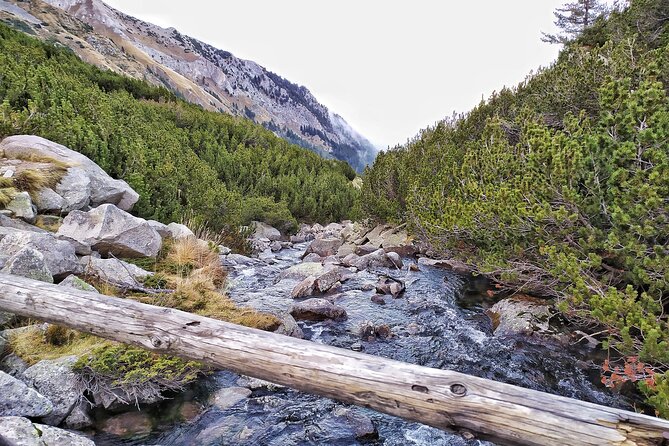 Hiking in Pirin- the UNESCO World Heritage Natural Park with a visit of Bansko - Guides, pacing, and why the small group feels different