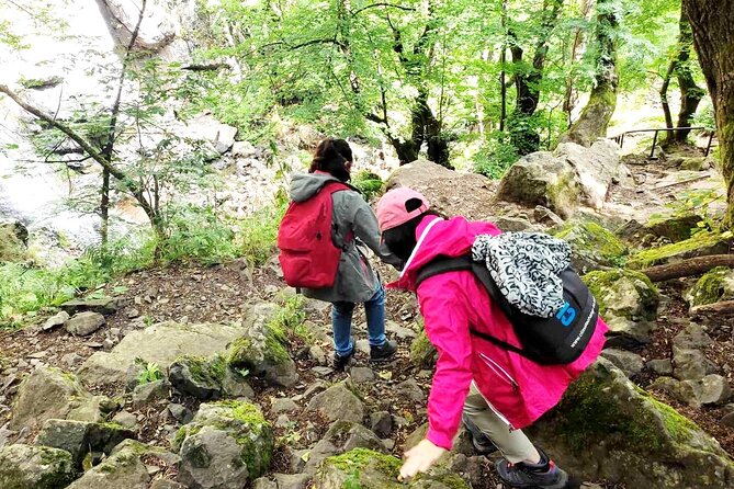 Mt. Vitosha and Boyana Waterfall Hiking Tour from Sofia - Key Things to Know Before You Go