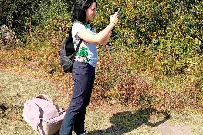 Mt. Vitosha and Boyana Waterfall Hiking Tour from Sofia - Why Mt. Vitosha and Boyana Make a Smart One-Day Combo