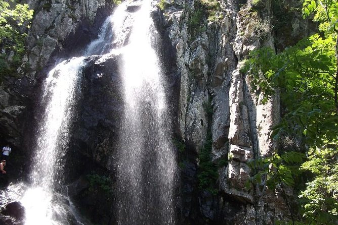 Mt. Vitosha and Boyana Waterfall Hiking Tour from Sofia - Top-of-Vitosha Payoff: Sofia Bird’s-Eye Views You Can Actually Earn