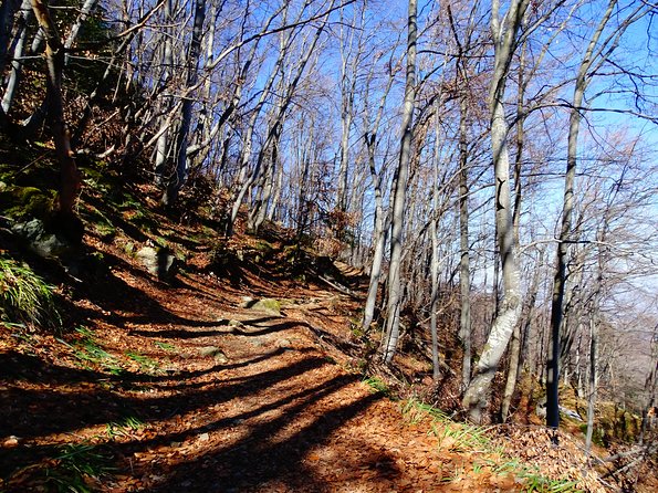 Mt. Vitosha and Boyana Waterfall Hiking Tour from Sofia - Boyana Waterfall: The Downhill Cool-Down Stop