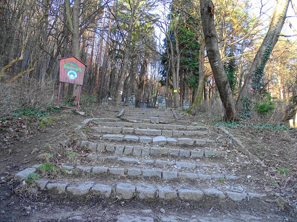 Mt. Vitosha and Boyana Waterfall Hiking Tour from Sofia - Guides Matter: Safety, Route Choices, and Bulgarian Stories