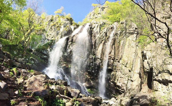 Mt. Vitosha and Boyana Waterfall Hiking Tour from Sofia - Mt. Vitosha Hiking: What the Trails Actually Feel Like