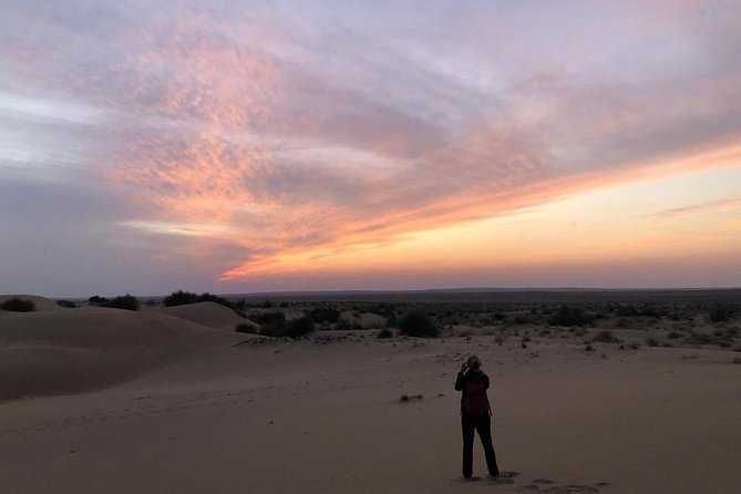 Non Touristic Half Day Camel Safari Thar Desert Sunset - Why This Thar Desert Camel Safari Feels Off-Route (In a Good Way)