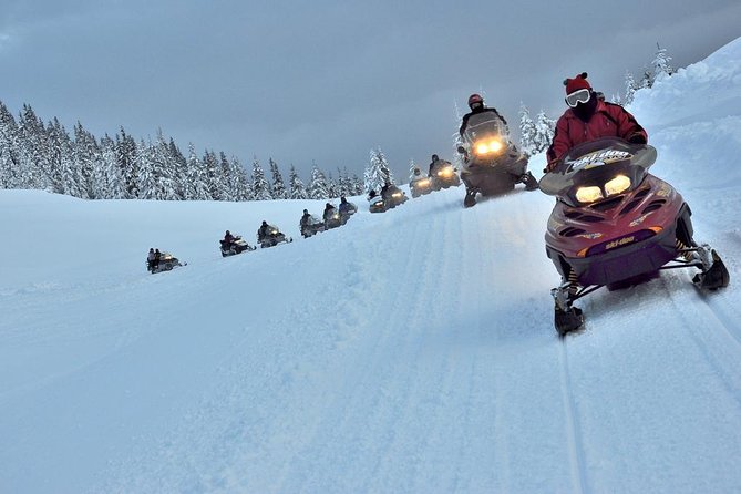 Pamporovo Ultimate Snowmobile Experience - Pamporovo is the right base for a fast winter thrill