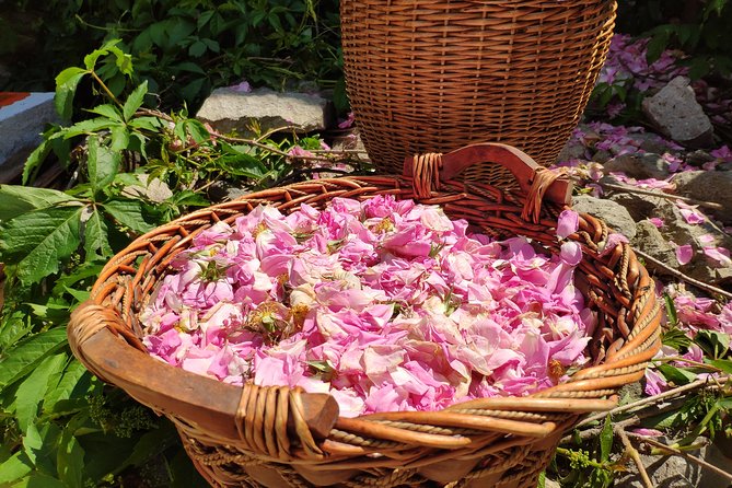 Picking Roses Workshop & Extracting Rose Oil in the Rose Valley - Stop 4: Damascena Ethnographic Complex and the culture layer