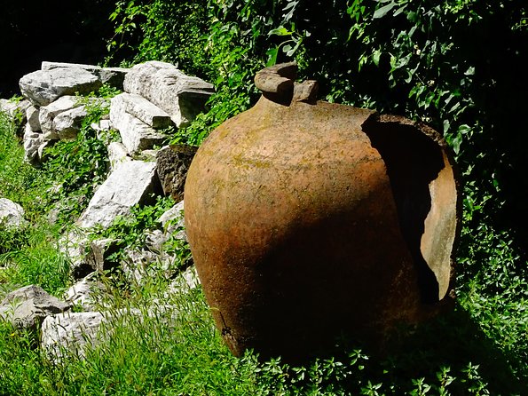Plovdiv and Bachkovo Monastery tour from Sofia - Timing, group logistics, and how to make the most of 9 hours