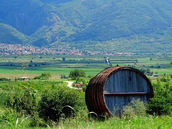 Plovdiv and Thracia Valley with Wine Tasting - Who this tour is best for