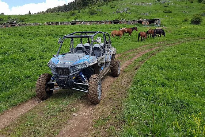 Private 1-Hour Quad or Buggy Safari in Borovets - Price and Value: What $83.08 Means in Real Life