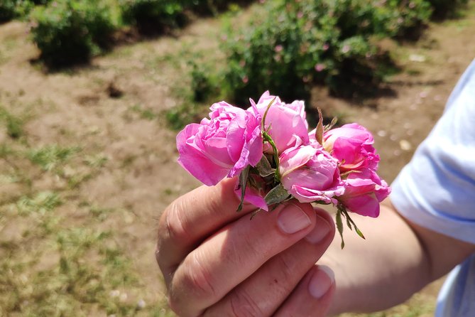Private Access Rose Festival Kazanlak 05-07.06.2025 - Key Points Before You Go