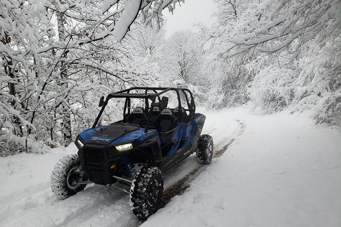 Private Buggy Experience All Seasons in Pamporovo - Quick highlights before you go