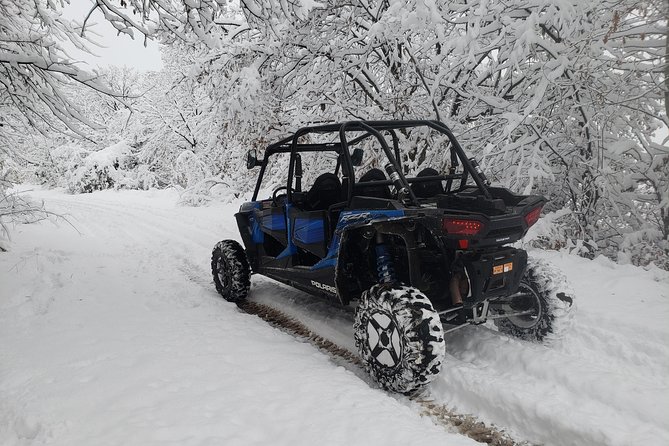 Private Buggy Experience All Seasons in Pamporovo - Rhodopes speed, your own steering wheel, any time of year