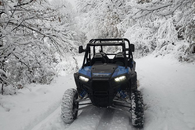 Private Buggy Experience All Seasons in Pamporovo - Rhodopes forests in winter, summer, autumn, or spring