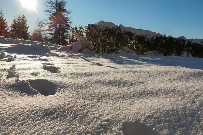 Private Buggy Experience All Seasons in Pamporovo - Price and real value, deposit plus the onsite 140 EUR per buggy