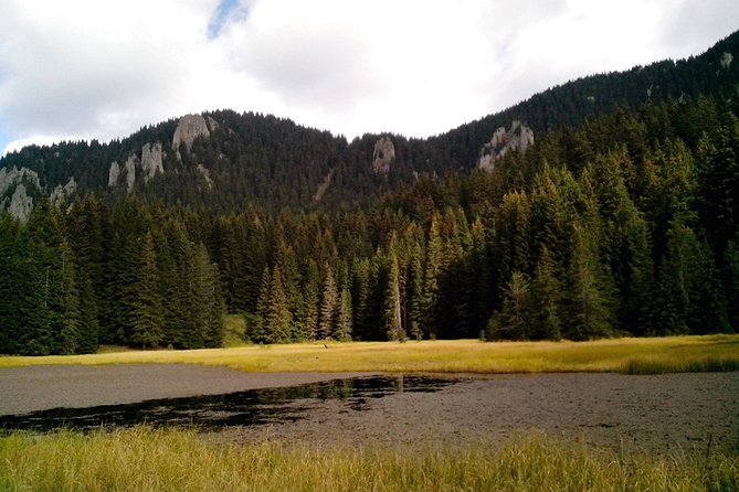 Private Buggy Experience All Seasons in Pamporovo - Pickup at hotels, or meet in Smolyan like a local