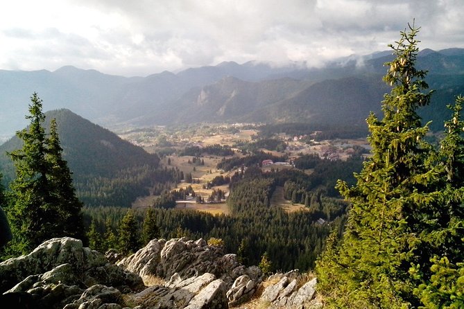 Private Buggy Experience All Seasons in Pamporovo - The one-hour flow, from Smolyan meet-up to forest time