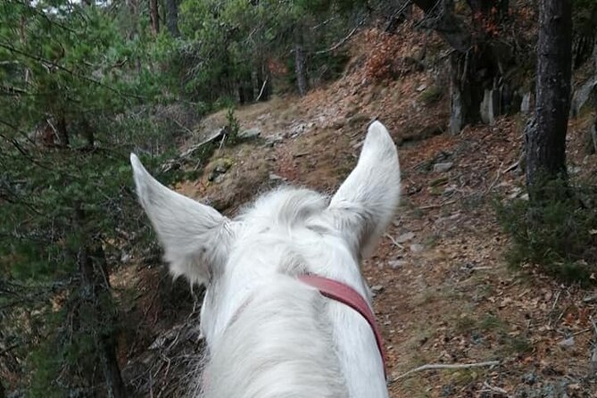 Private Cascades Waterfall Horseback Riding Tour from Smolyan - Entering the Rhodope mountains from Smolyan, the practical way