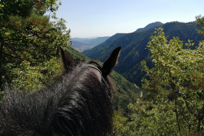 Private Cascades Waterfall Horseback Riding Tour from Smolyan - Where you start in Smolyan, and how the schedule keeps it easy
