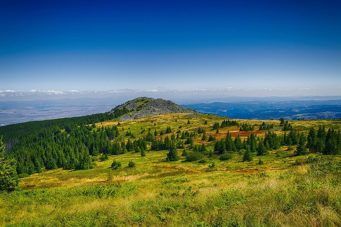 Private Day Trip to the Vitosha Mountain and Pancharevo Lake - Who this day trip suits best