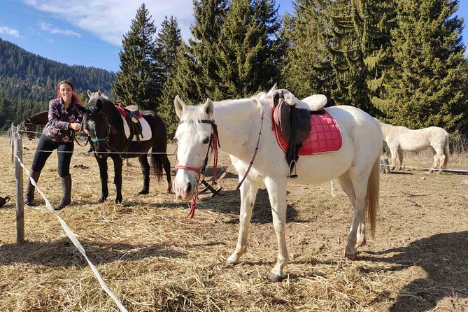 Private Horse Riding in the Balkan from Sofia - Glozhene Monastery and Morovitsa Cave: When Culture Fits the Ride