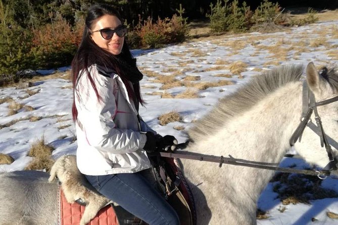 Private Horseback Riding the Rila Range - Why this half-day Rila ride feels like a reset from Sofia