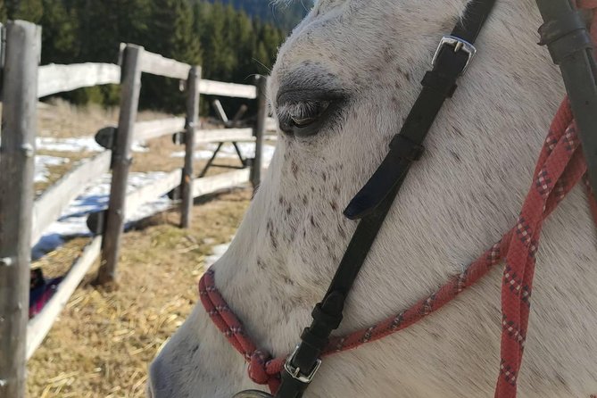 Private Horseback Riding the Rila Range - Stop in Samokov: setting the stage for the mountains