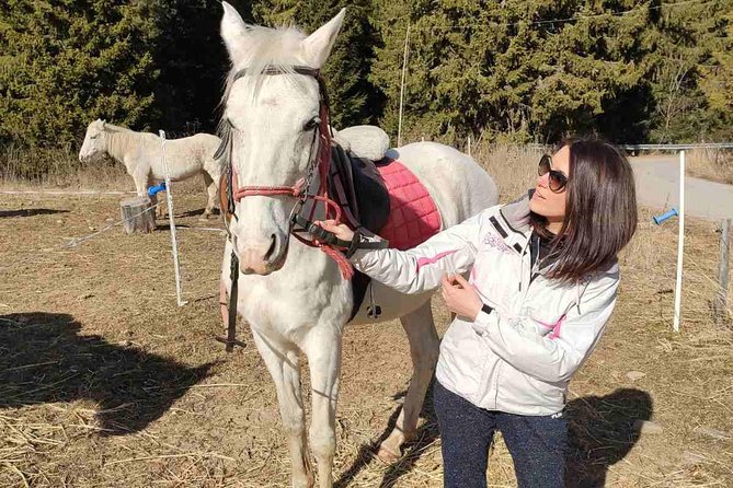 Private Horseback Riding the Rila Range - Back toward Vitosha Mountain: pacing, views, and a gentle finish