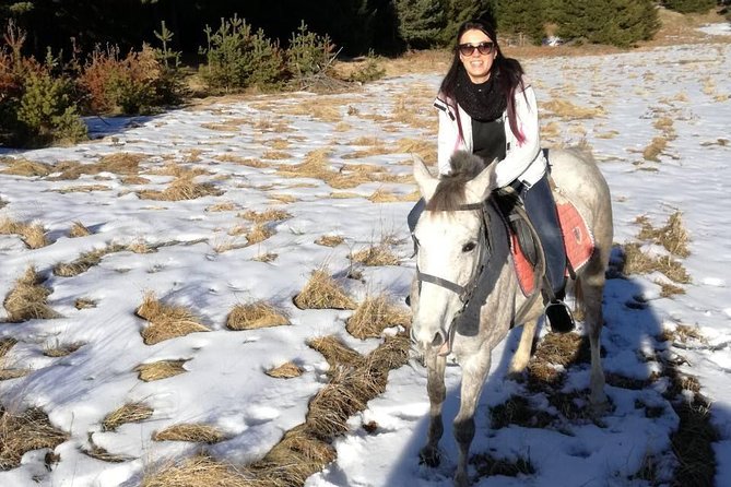 Private Horseback Riding the Rila Range - Price and what you truly get for $140.83 per person