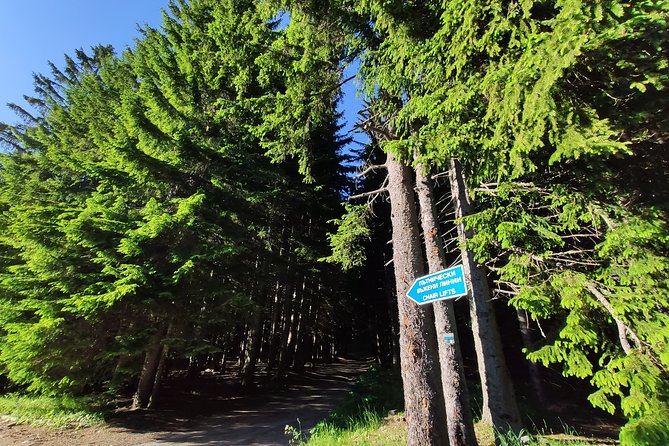 Private Mountain Biking in Vitosha from Sofia - From Sofia to Vitosha: why this works as a half-day escape