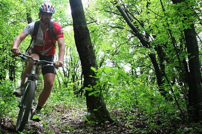 Private Mountain Biking in Vitosha from Sofia - Price and value: what $93.49 includes (and why it can be fair)
