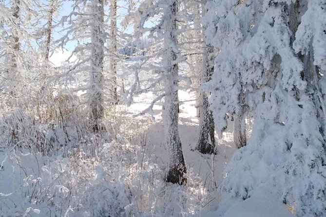 Private Vitosha Mountains Hiking with Black peak & Dragalevtsi Monastery - Dragalevtsi Monastery: short visit, right amount of time
