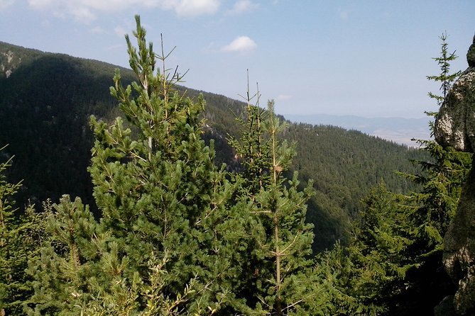 Private Vitosha Mountains Hiking with Black peak & Dragalevtsi Monastery - Logistics that can make or break your day
