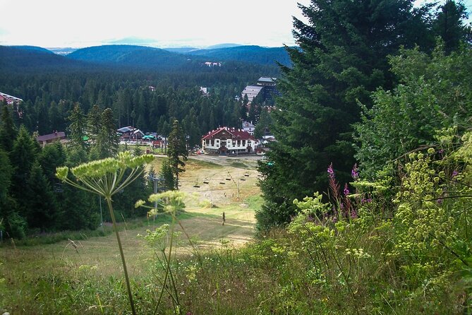 Rila Monastery & Thermae Full-Day Tour from Sofia - Price and value: what $43.25 really buys you