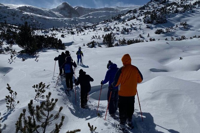 Sofia: Small group to Seven Rila Lakes and Skakavitsa waterfall - Spring vs winter: why the scenery changes so much