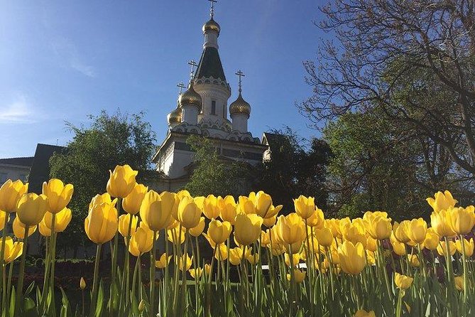 Sofia Walking Private City Tour - Key highlights to know before you go