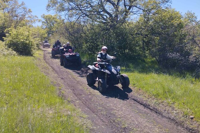Southern Black Sea Quad Bikes Fun - Price and Value: What $106.94 Gets You (and What to Watch)